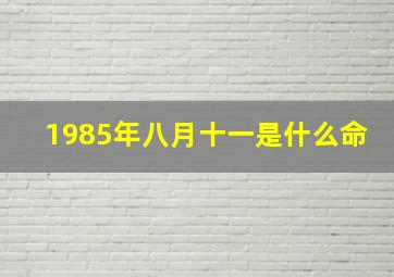 1985年八月十一是什么命