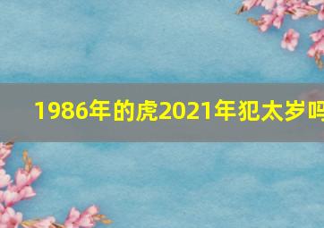 1986年的虎2021年犯太岁吗