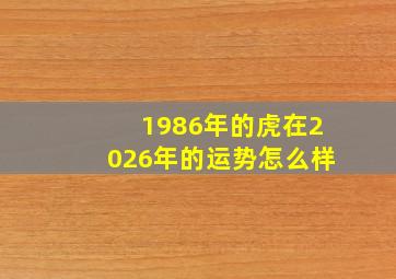 1986年的虎在2026年的运势怎么样