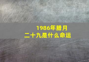 1986年腊月二十九是什么命运