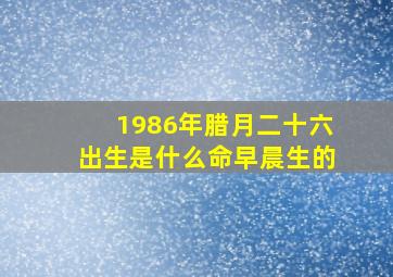 1986年腊月二十六出生是什么命早晨生的