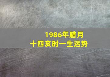 1986年腊月十四亥时一生运势