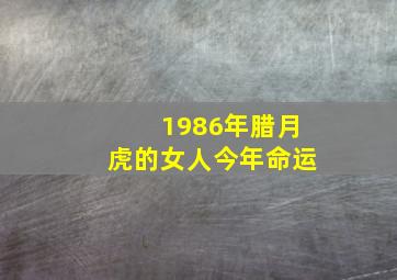 1986年腊月虎的女人今年命运