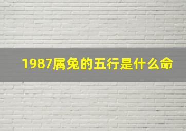 1987属兔的五行是什么命