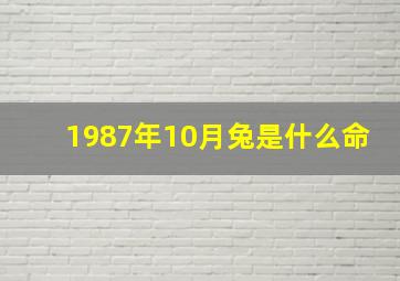 1987年10月兔是什么命