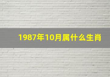 1987年10月属什么生肖