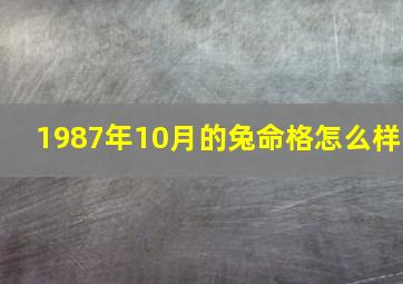 1987年10月的兔命格怎么样