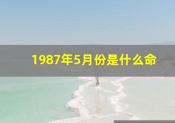 1987年5月份是什么命