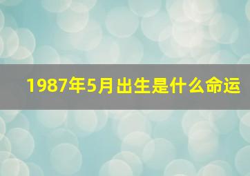 1987年5月出生是什么命运