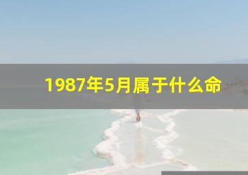 1987年5月属于什么命