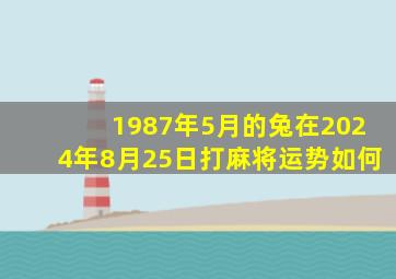 1987年5月的兔在2024年8月25日打麻将运势如何