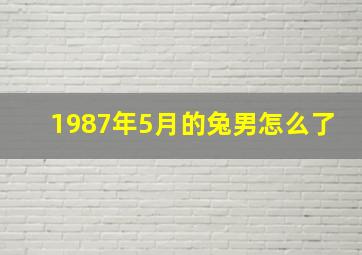 1987年5月的兔男怎么了