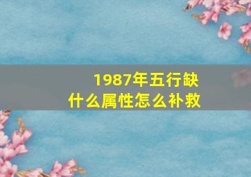 1987年五行缺什么属性怎么补救