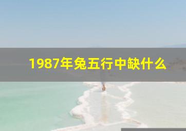 1987年兔五行中缺什么