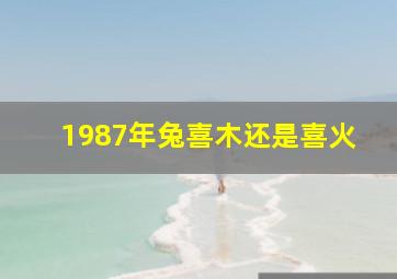 1987年兔喜木还是喜火