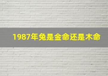 1987年兔是金命还是木命