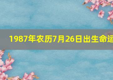 1987年农历7月26日出生命运