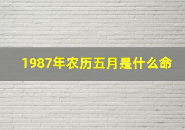 1987年农历五月是什么命