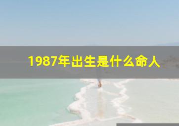 1987年出生是什么命人