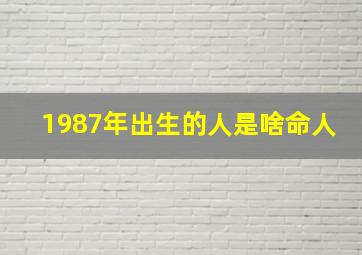 1987年出生的人是啥命人