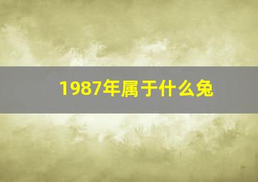 1987年属于什么兔