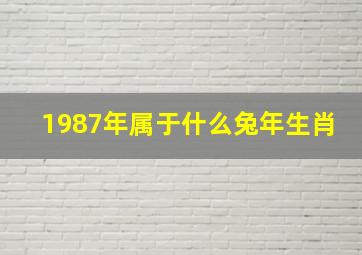 1987年属于什么兔年生肖