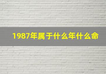 1987年属于什么年什么命