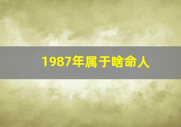 1987年属于啥命人