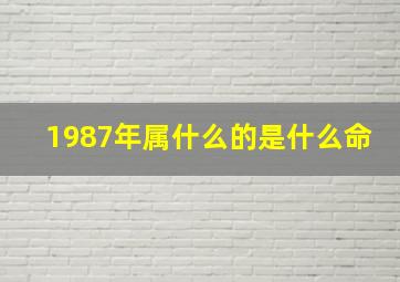 1987年属什么的是什么命