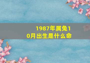 1987年属兔10月出生是什么命