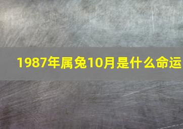 1987年属兔10月是什么命运