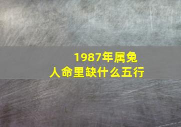 1987年属兔人命里缺什么五行