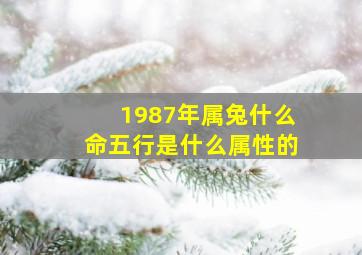 1987年属兔什么命五行是什么属性的