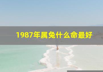 1987年属兔什么命最好