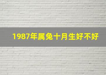 1987年属兔十月生好不好