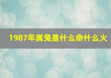 1987年属兔是什么命什么火