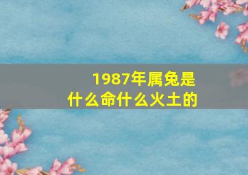 1987年属兔是什么命什么火土的