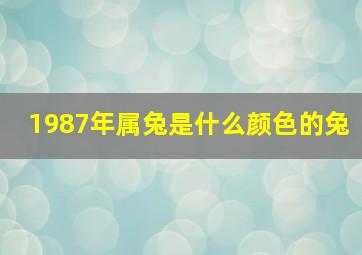 1987年属兔是什么颜色的兔