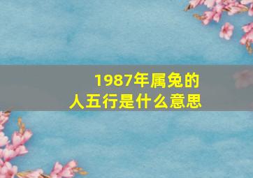 1987年属兔的人五行是什么意思