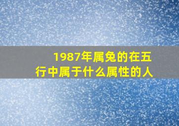 1987年属兔的在五行中属于什么属性的人