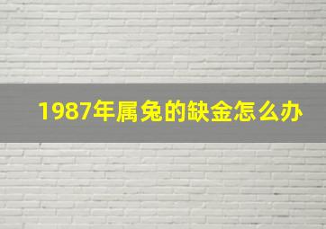 1987年属兔的缺金怎么办