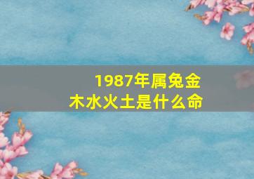 1987年属兔金木水火土是什么命