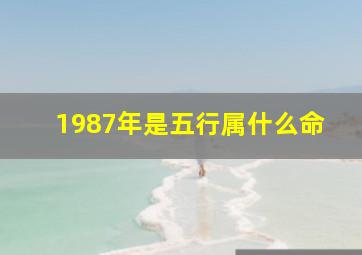 1987年是五行属什么命