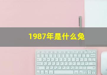 1987年是什么兔