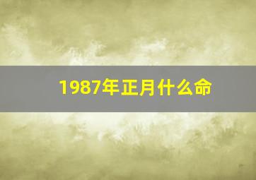 1987年正月什么命