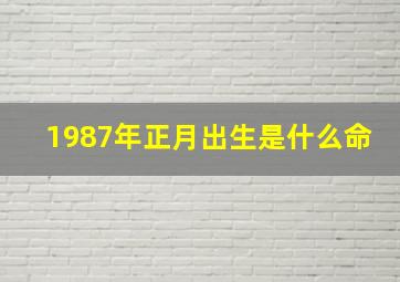 1987年正月出生是什么命