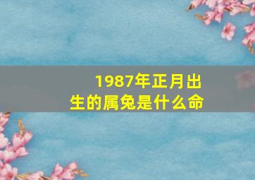 1987年正月出生的属兔是什么命