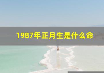 1987年正月生是什么命