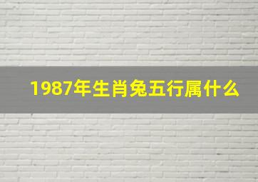 1987年生肖兔五行属什么