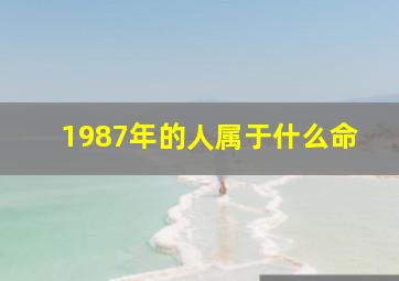 1987年的人属于什么命